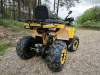 Motoland Wild Track 200 X WINCH, 2025 г.