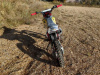 ROCKOT BASIC 125E Jokester 2.0, 2026 г.