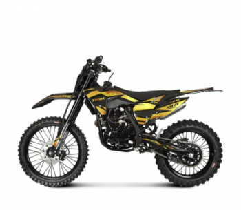 TMBK ENVY 300 PRO, 2026 г.