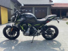Kawasaki Z Новое поколение, 2019 г.
