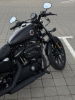 Harley-Davidson Sportster, 2019 г.
