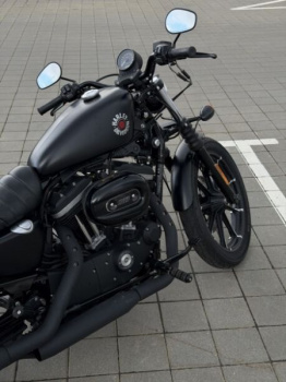 Harley-Davidson Sportster, 2019 г.