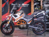 ROCKOT HOUND 250 2.0, 2026 г.