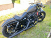 Harley-Davidson Sportster 883 iron, 2019 г.