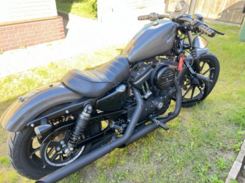 Harley-Davidson Sportster 883 iron, 2019 г.