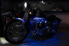 Harley-Davidson Softail, 2009 г.