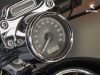 Harley-Davidson Sportster XL1200 C, 2008 г.