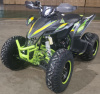 Racer RC 250 Typhoon, 2025 г.
