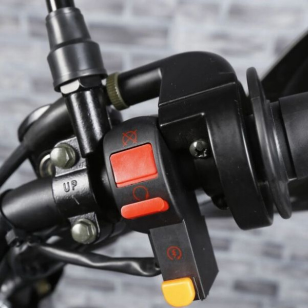 Avantis MT 250 Lite (CG250/172FMM), 2026 г.