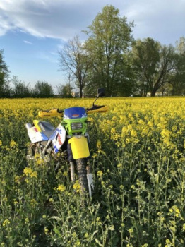 Cagiva W16, 1996 г.