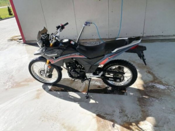 Racer Ranger, 2024 г.