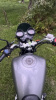 Hors Z 150, 2022 г.