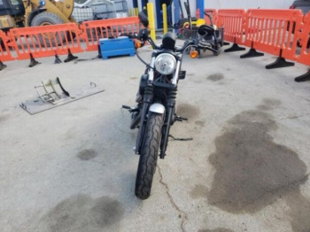 Harley-Davidson Sportster xl883, 2020 г.
