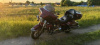 Harley-Davidson Electra Glide Ultra Classic, 2009 г.