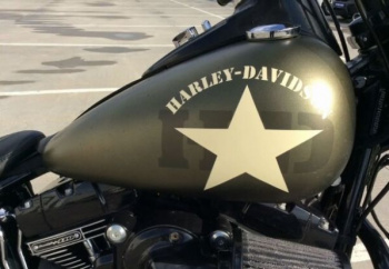 Harley-Davidson Softail Slim S, 2016 г.