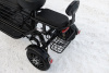  AVM DELTA TRIKE, 2026 г.