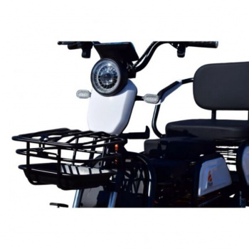 BMW GG Электротрицикл Terax APKI (SVITYAZ NS003, 2025 г.