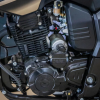 Motoland Bandit 300, 2024 г.