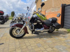 Suzuki Boulevard 1555, 2000 г.