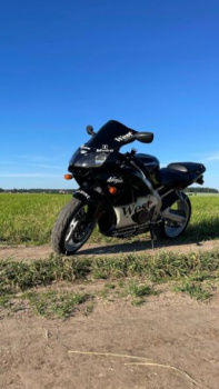 Kawasaki ZX ZX-6R/ZZR600, 2007 г.