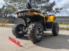 Motoland Wild Track X Plus (VOX250), 2025 г.