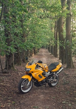 Honda VTR, 1998 г.