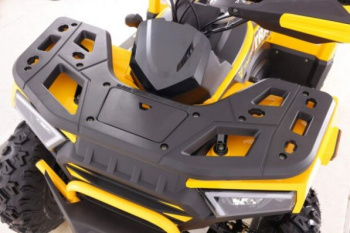Motoland Wild Track 250 X PLUS, 2026 г.