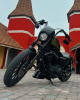 Harley-Davidson Sportster XL883N, 2009 г.