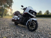 Indian Challenger Dark Horse Pursuit, 2024 г.