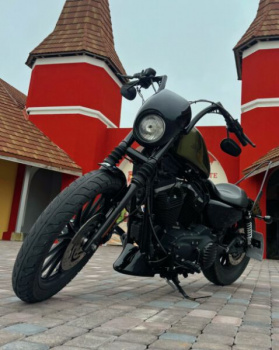 Harley-Davidson Sportster XL883N, 2009 г.
