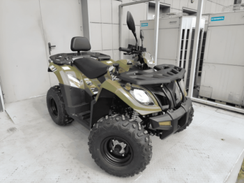 Kayo AU300 Carb, 2026 г.