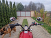 Indian Scout Трайк, 2020 г.