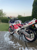 Honda CBR, 1993 г.