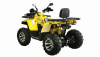 Motoland Wild Track X PRO, 2025 г.