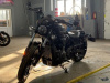 Harley-Davidson Nightster, 2022 г.