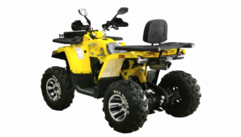 Motoland Wild Track X PRO, 2025 г.