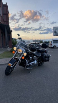 Harley-Davidson Softail, 2015 г.