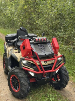 AODES (ODES) ATV 650 mud pro, 2025 г.