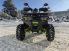 Motoland Wild Track 200 LUX, 2026 г.