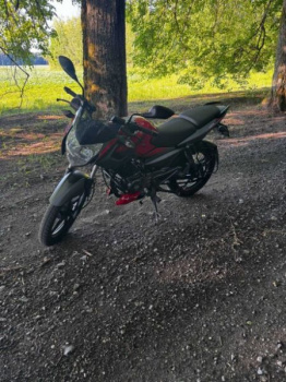 BAJAJ Pulsar, 2024 г.