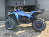 Motoland Wild Track 200 X WINCH, 2025 г.