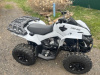 BRP Renegade, 2024 г.