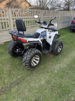 Cobra ECX, 2023 г.