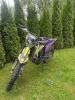 Progasi RACE 300 WAIF, 2024 г.