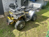 Motoland 200 Wild Track, 2024 г.