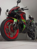 Racer Storm RC250, 2025 г.