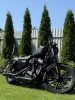 Harley-Davidson Sportster 883N, 2021 г.