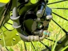 Эндуро Racer RC 300B-F Panther PRO 19 , 2026 г.