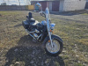 Suzuki Boulevard, 2006 г.