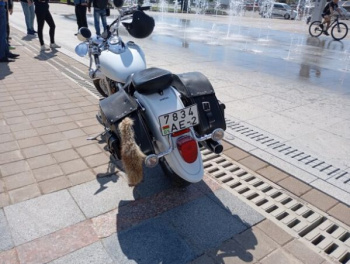 Yamaha XVS V- star classic, 2006 г.